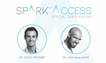 Spark Access Febrero- Abril