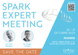 Spark Expert Meeting – Madrid